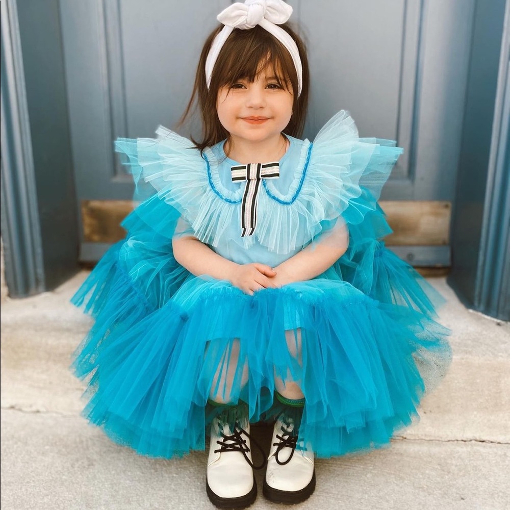 RASPBERRY PLUM MIRELLA TULLE DRESS